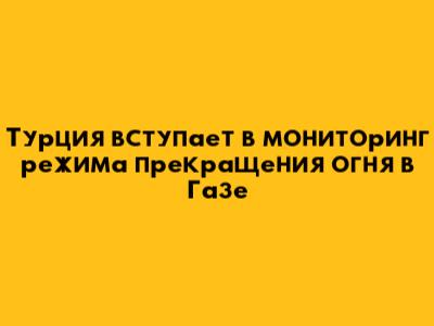 Турция вступает в мониторинг режима прекращения огня в Газе