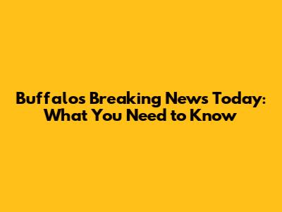 Buffalo's Breaking News Today: What You Need to Know