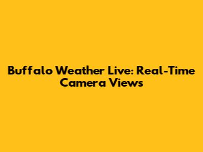 Buffalo Weather Live: Real-Time Camera Views