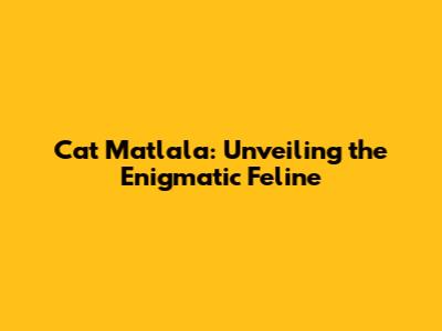 Cat Matlala: Unveiling the Enigmatic Feline