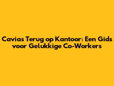 Cavia's Terug op Kantoor: Een Gids voor Gelukkige Co-Workers