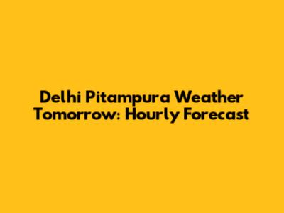 Delhi Pitampura Weather Tomorrow: Hourly Forecast