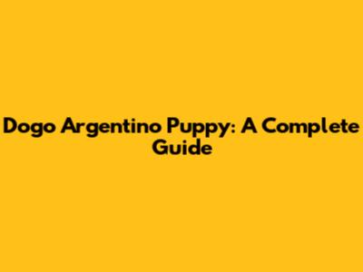 Dogo Argentino Puppy: A Complete Guide