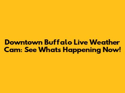 Downtown Buffalo Live Weather Cam: See What's Happening Now!