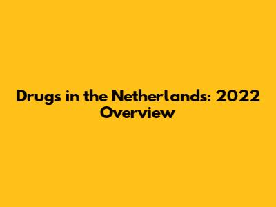 Drugs in the Netherlands: 2022 Overview