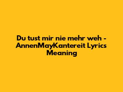 Du tust mir nie mehr weh - AnnenMayKantereit Lyrics Meaning