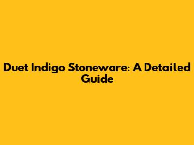 Duet Indigo Stoneware: A Detailed Guide