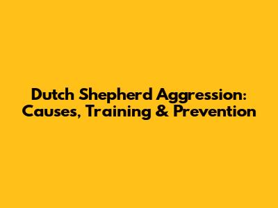 Dutch Shepherd Aggression: Causes, Training & Prevention