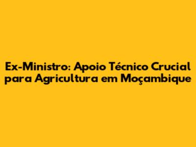 Ex-Ministro: Apoio Técnico Crucial para Agricultura em Moçambique