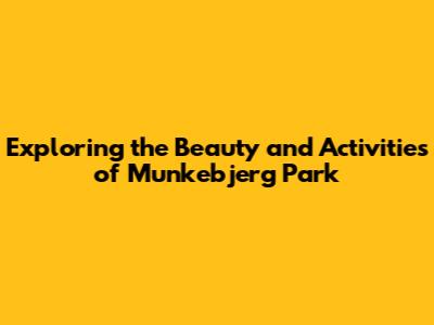 Exploring the Beauty and Activities of Munkebjerg Park
