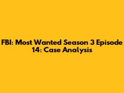 FBI: Most Wanted Season 3 Episode 14: Case Analysis
