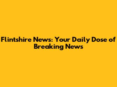 Flintshire News: Your Daily Dose of Breaking News