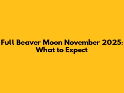 Full Beaver Moon November 2025: What to Expect