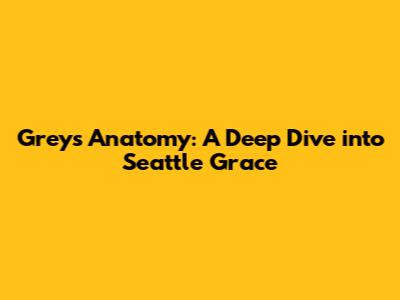 Grey's Anatomy: A Deep Dive into Seattle Grace