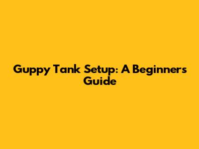 Guppy Tank Setup: A Beginner's Guide