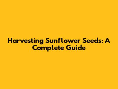 Harvesting Sunflower Seeds: A Complete Guide