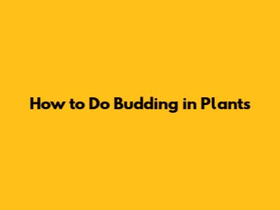 How to Do Budding in Plants