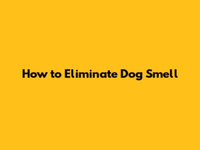 How to Eliminate Dog Smell