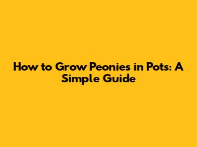 How to Grow Peonies in Pots: A Simple Guide