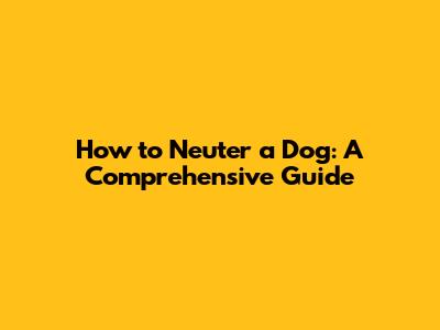 How to Neuter a Dog: A Comprehensive Guide