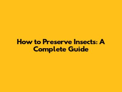 How to Preserve Insects: A Complete Guide
