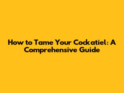 How to Tame Your Cockatiel: A Comprehensive Guide
