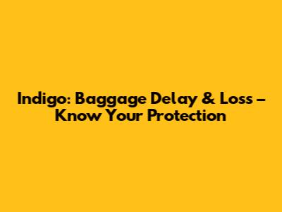 Indigo: Baggage Delay & Loss – Know Your Protection
