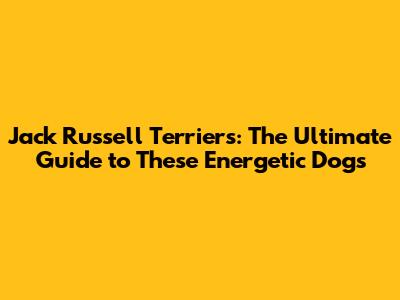 Jack Russell Terriers: The Ultimate Guide to These Energetic Dogs
