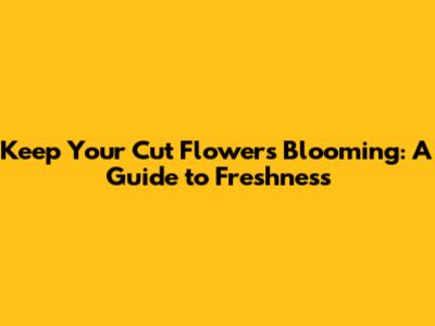 Keep Your Cut Flowers Blooming: A Guide to Freshness