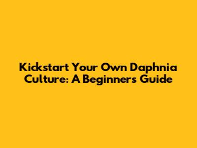 Kickstart Your Own Daphnia Culture: A Beginner's Guide