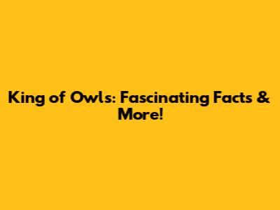 King of Owls: Fascinating Facts & More!