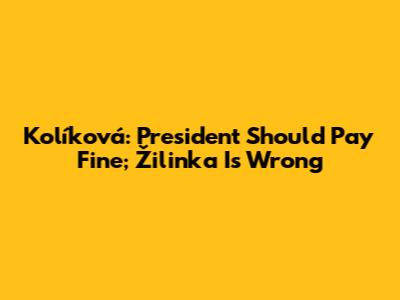 Kolíková: President Should Pay Fine; Žilinka Is Wrong