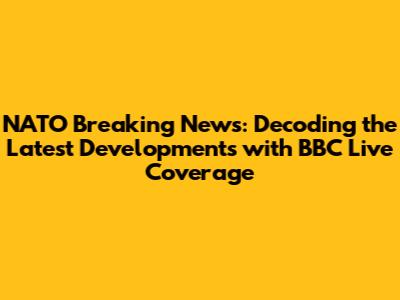 NATO Breaking News: Decoding the Latest Developments with BBC Live Coverage