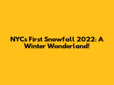 NYC's First Snowfall 2022: A Winter Wonderland!