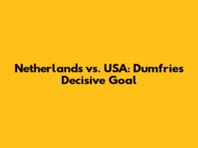 Netherlands vs. USA: Dumfries' Decisive Goal