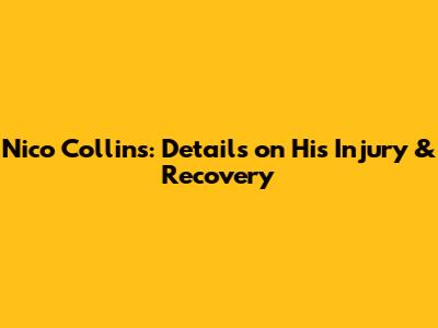 Nico Collins: Details on His Injury & Recovery