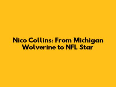 Nico Collins: From Michigan Wolverine to NFL Star