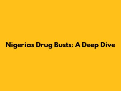 Nigeria's Drug Busts: A Deep Dive