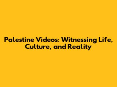 Palestine Videos: Witnessing Life, Culture, and Reality