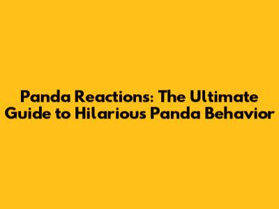 Panda Reactions: The Ultimate Guide to Hilarious Panda Behavior