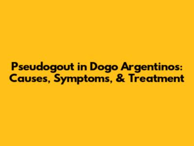 Pseudogout in Dogo Argentinos: Causes, Symptoms, & Treatment