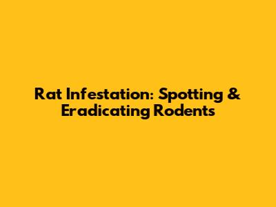 Rat Infestation: Spotting & Eradicating Rodents
