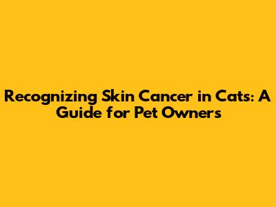 Recognizing Skin Cancer in Cats: A Guide for Pet Owners