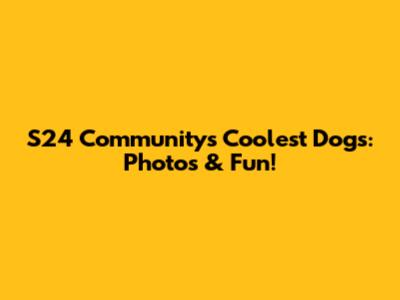 S24 Community's Coolest Dogs: Photos & Fun!