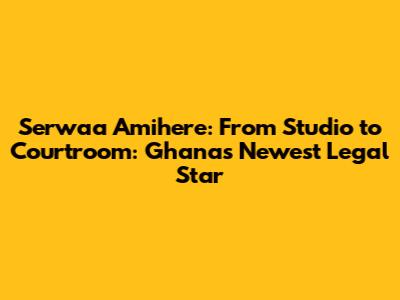 Serwaa Amihere: From Studio to Courtroom: Ghana's Newest Legal Star