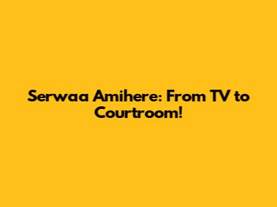 Serwaa Amihere: From TV to Courtroom!