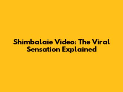 Shimbalaie Video: The Viral Sensation Explained