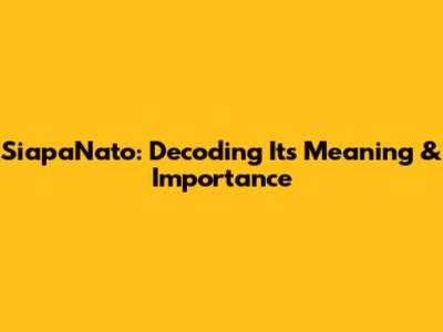 SiapaNato: Decoding Its Meaning & Importance