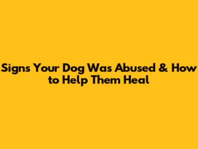Signs Your Dog Was Abused & How to Help Them Heal