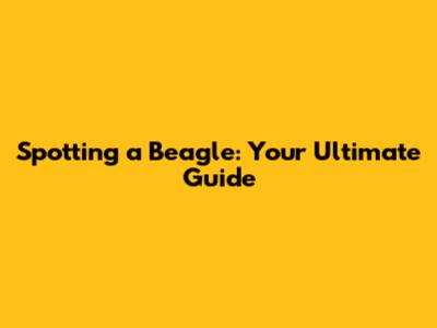Spotting a Beagle: Your Ultimate Guide